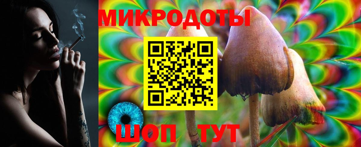 Псилоцибиновые грибы Psilocybine cubensis  Псилоцибиновые грибы прущие грибы  Вход с VPN  Кандалакша 